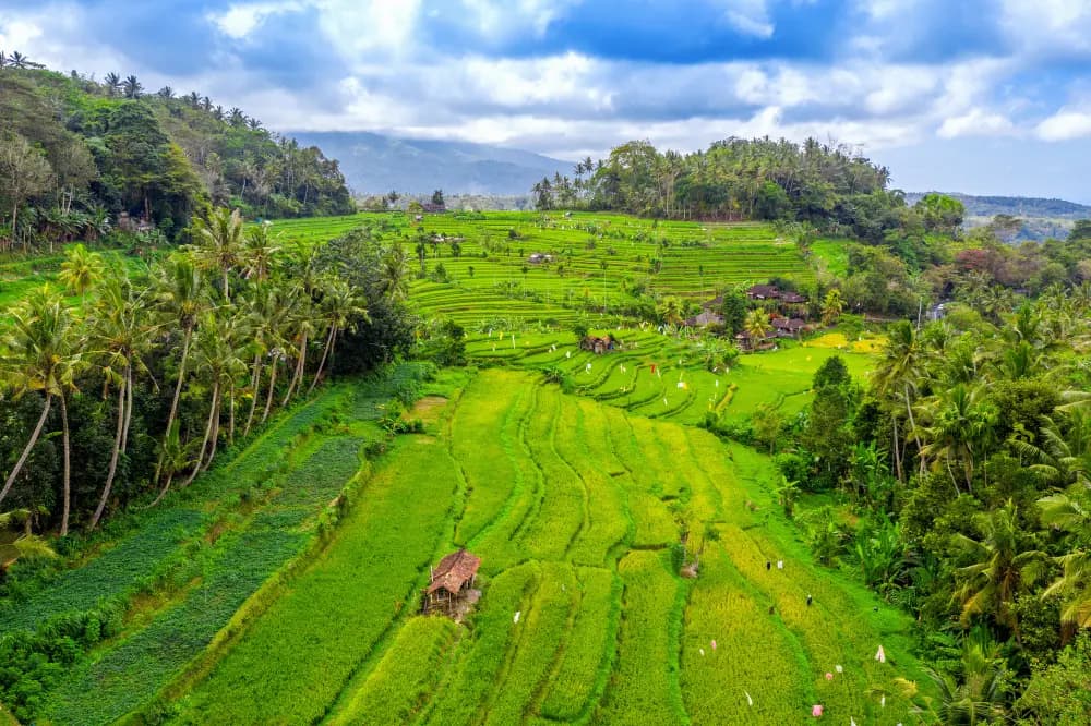 Bali Holiday Package from Dubai — photo 4