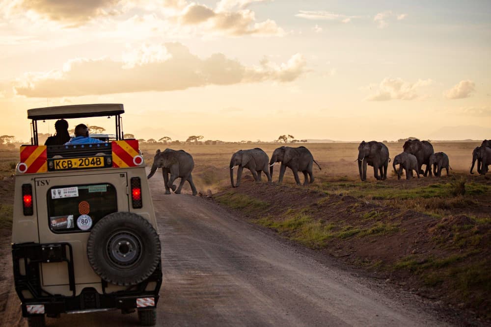 Kenya Safari Discovery — photo 1